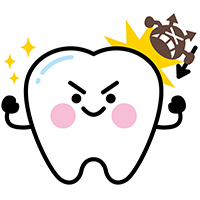 強い歯